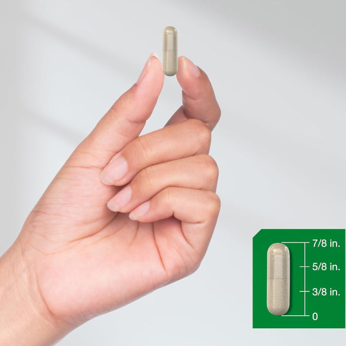 Ashwagandha Capsules | Max Strength