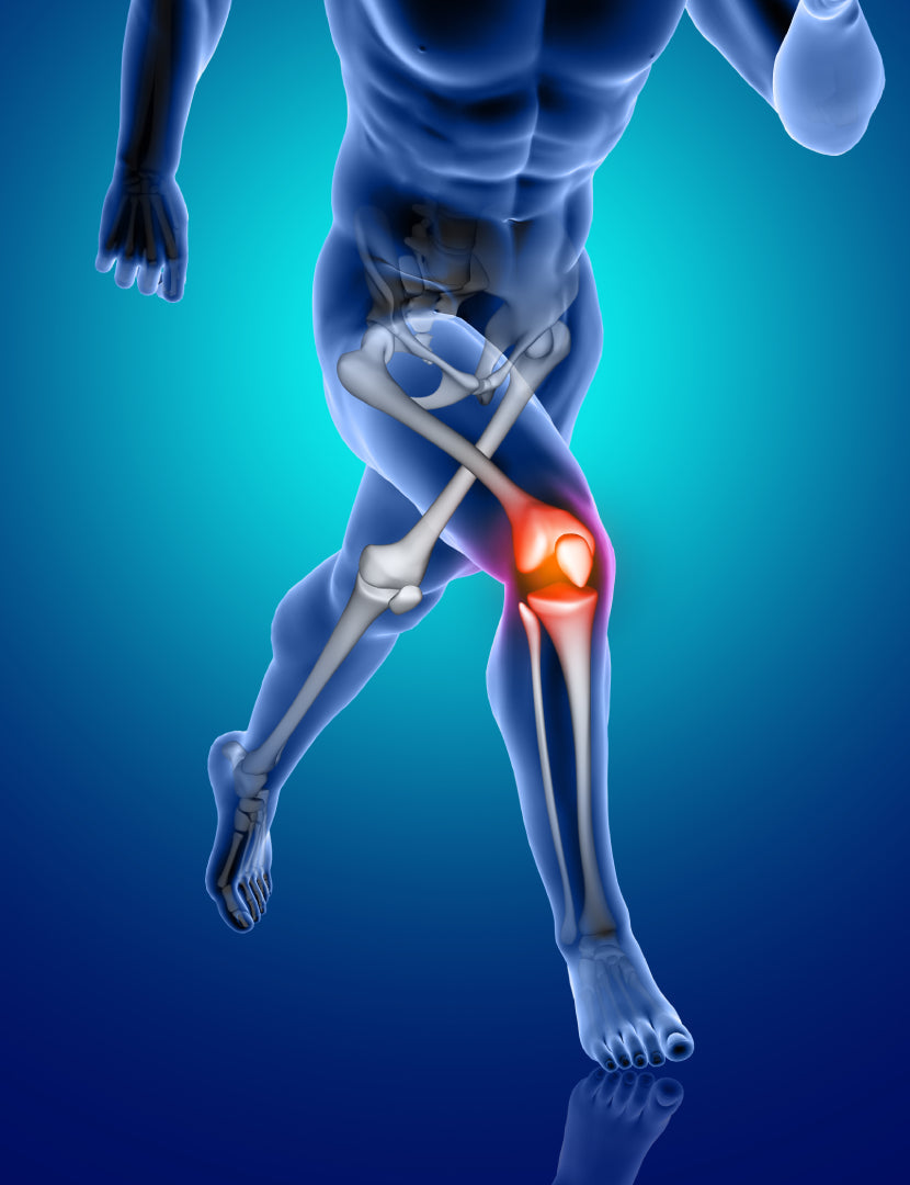 Bone & Joint health