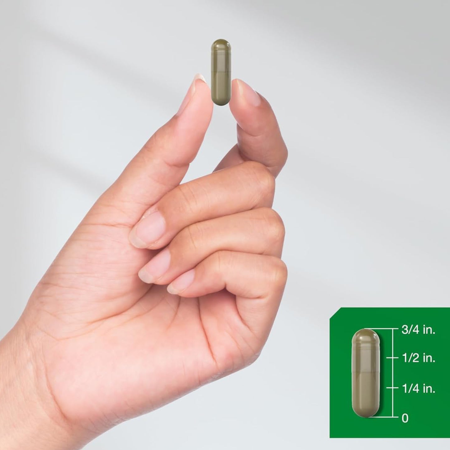 Vitex Chasteberry for Women